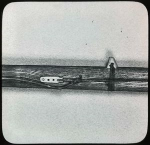 Image: Harpoon Shaft Showing Knob and Line Attachment